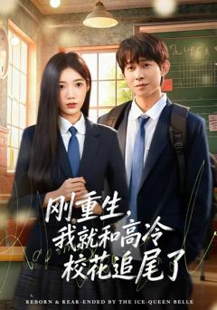 免费在线观看《刚重生，我就和高冷校花追尾了》
