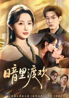 免费在线观看《暗里渡欢》