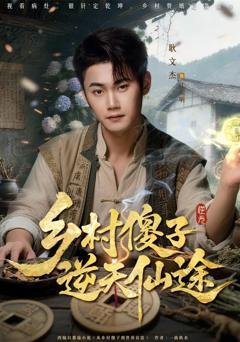 免费在线观看《乡村傻子逆天仙途》