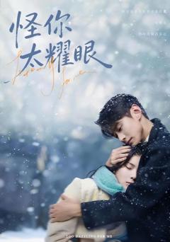 免费在线观看《怪你太耀眼》