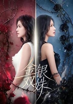 免费在线观看《金银双姝》