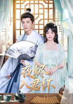 免费在线观看《夜烬入君怀》
