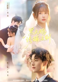 免费在线观看《黑天鹅诱捕法册》