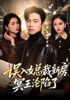 免费在线观看《误入女总裁新房，冥王沦陷了》