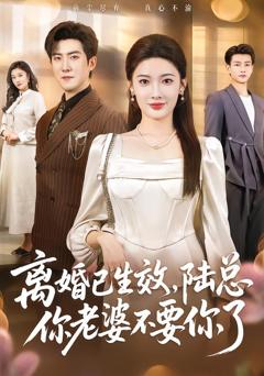 免费在线观看《离婚已生效，陆总你老婆不要你了》