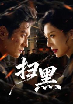 免费在线观看《扫黑》