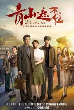 免费在线观看完整版大陆剧《青山遮不住》