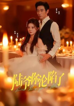 免费在线观看《陆爷你沦陷了》