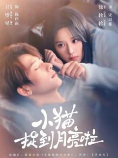 免费在线观看《小猫捉到月亮啦》