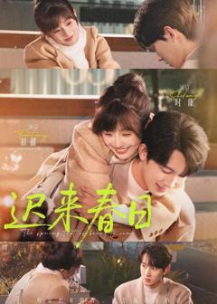 免费在线观看《迟来春日》