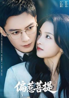 免费在线观看《偏惹菩提》