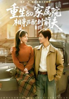 免费在线观看《重生80家属院，相亲匹配到前夫》