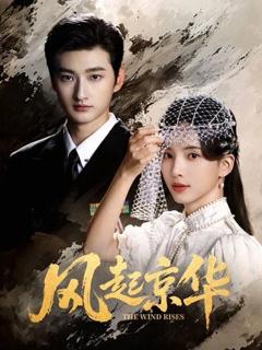 免费在线观看《风起京华》