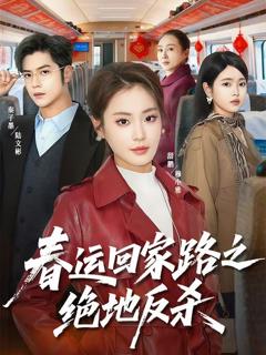 免费在线观看《春运回家路之绝地反》