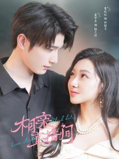 免费在线观看《相亲直播间》