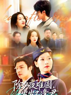 免费在线观看《除夕夜难圆，岁岁不逢君》