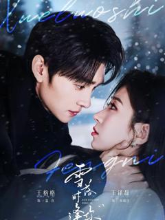 免费在线观看《雪落时逢你》