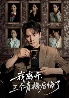 免费在线观看《我离开，三个青梅后悔了》