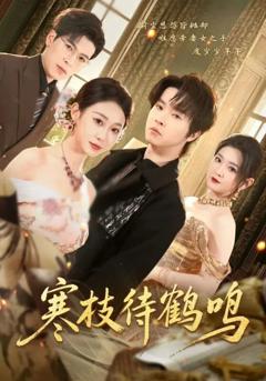 免费在线观看《寒枝待鹤鸣》