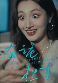 免费在线观看《有诡拦车》