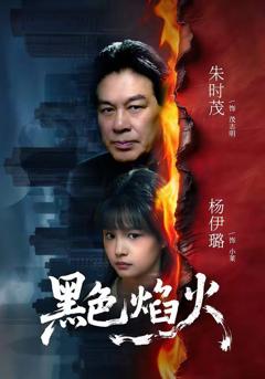 免费在线观看《黑色焰火》