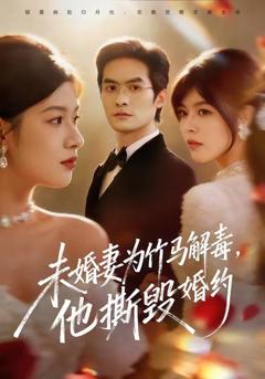 免费在线观看《未婚妻为竹马解毒，他撕毁婚约》