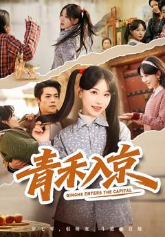 免费在线观看《青禾入京》