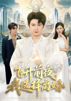 免费在线观看《飞升前夜，我选择离婚》