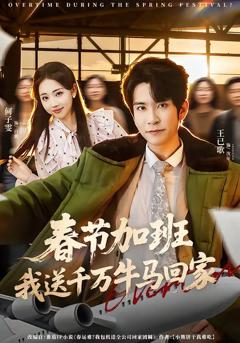 免费在线观看《春节加班，我送千万牛马回家》