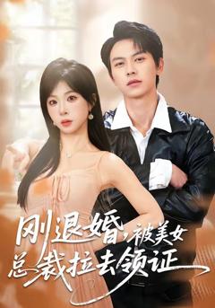 免费在线观看《刚退婚，被美女总裁拉去领证》