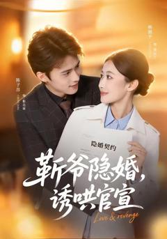 免费在线观看《斩爷隐婚，诱哄官宣》