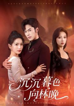 免费在线观看《沉沉暮色向林晚》