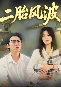 免费在线观看《二胎风波》
