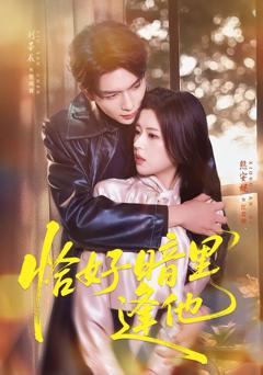 免费在线观看《恰好暗里逢他》