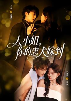 免费在线观看《大小姐，你的忠犬嫁到》