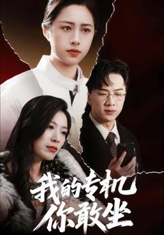 我的专机你敢坐