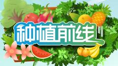 免费在线观看《种植前线2026》