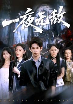 免费在线观看《一夜无敌》