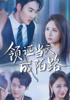 免费在线观看《领证当天成陌路》