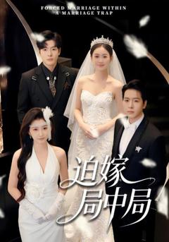 免费在线观看《迫嫁局中局》