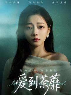 免费在线观看《爱到荼蘼》