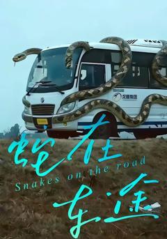 免费在线观看《蛇在车途》
