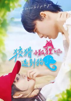 免费在线观看《狡猾小狐狸遇到狗》