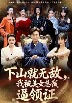 免费在线观看《下山就无敌，我被美女总裁逼领证》