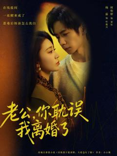 免费在线观看《老公，你耽误我离婚了》