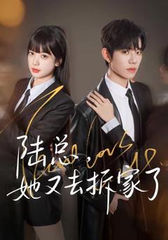 免费在线观看《陆总，她又去拆家了》