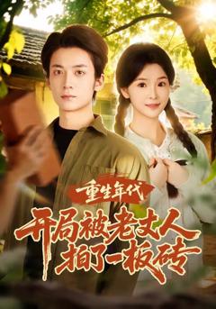 免费在线观看《重生年代开局被老丈人拍了一板砖》