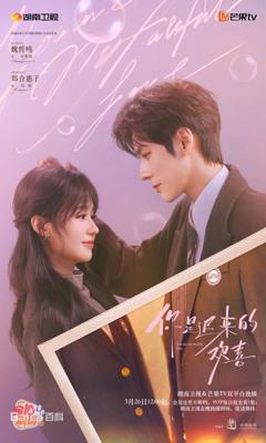 免费在线观看完整版大陆剧《你是迟来的欢喜（2026）》