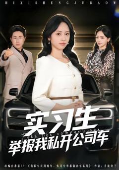 免费在线观看《实习生举报我私开公司车》