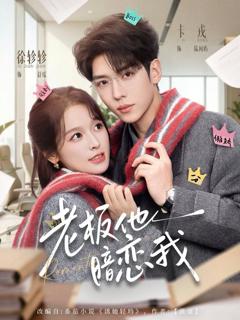 免费在线观看《老板他暗恋我》